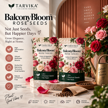 EverBloom™ Premium Rose Seeds 🔥BUY 1 GET 1 FREE🔥