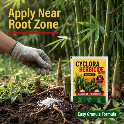 Cyclosinone Herbicide Granules 🔥BUY 1 GET 1 FREE🔥