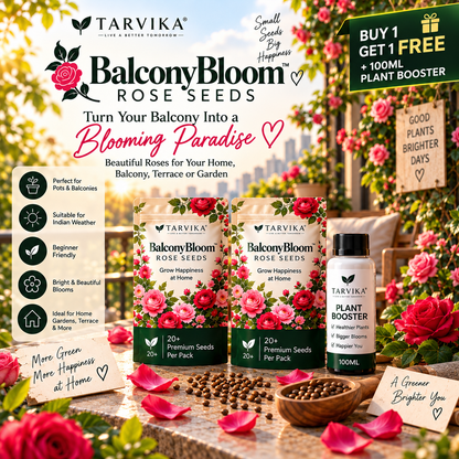 EverBloom™ Premium Rose Seeds 🔥BUY 1 GET 1 FREE🔥