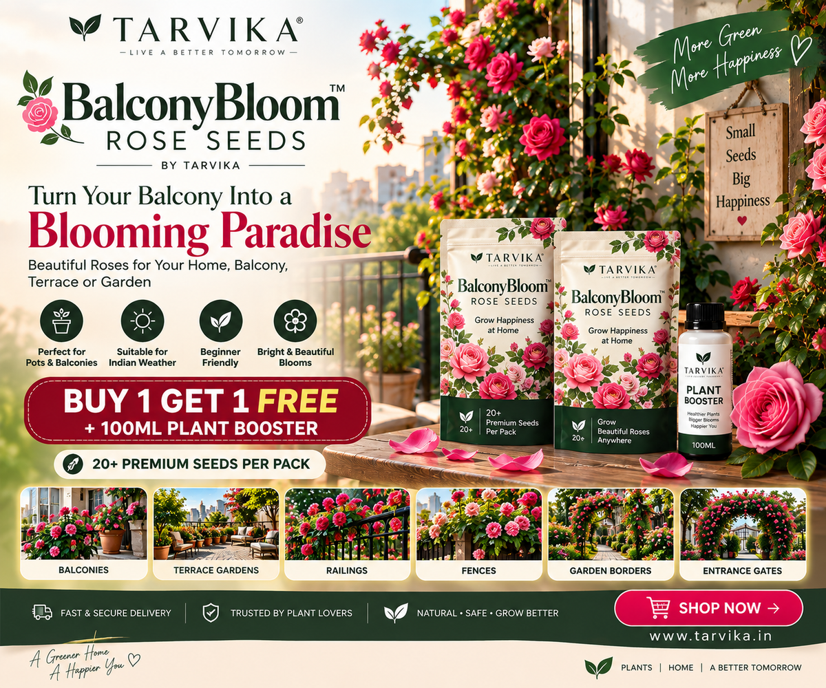 EverBloom™ Premium Rose Seeds 🔥BUY 1 GET 1 FREE🔥